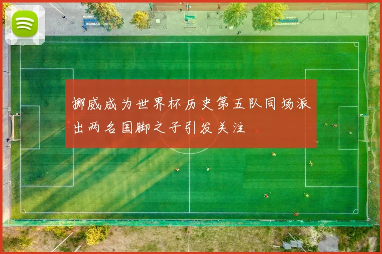 挪威成为世界杯历史第五队同场派出两名国脚之子引发关注
