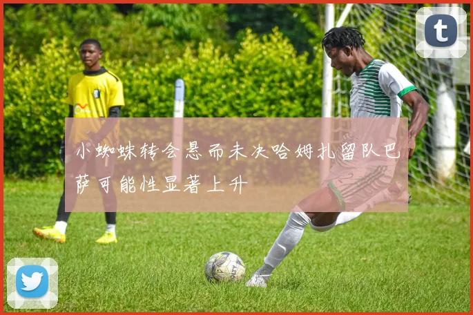 小蜘蛛转会悬而未决哈姆扎留队巴萨可能性显著上升